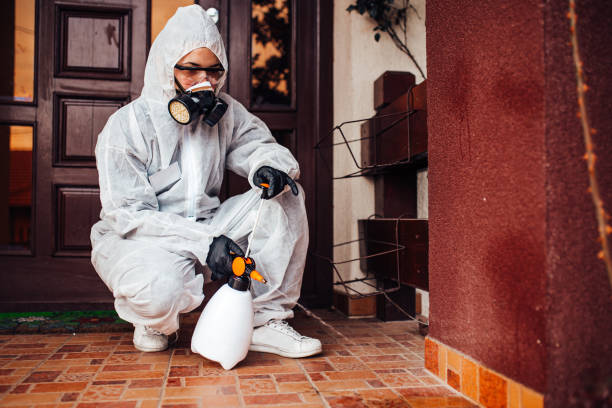 Attic and Crawl Space Rodent Treatment in Indian Head Park